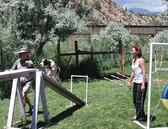 Dog up Ramp