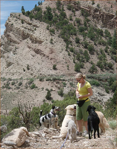Dog Training on Hike