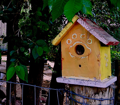 Bird House