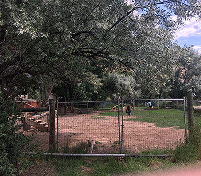 Fenced Area