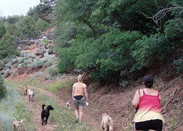 Girls and Dogs Hiking Trail