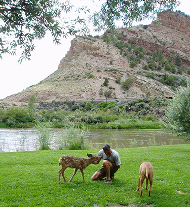 Man with Deer and Dog